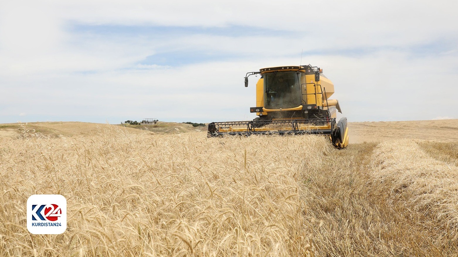 Erbil General Director of Agriculture, mandatory instructions for farmers during harvest season